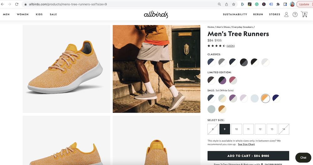 allbirds duplicate content seo example