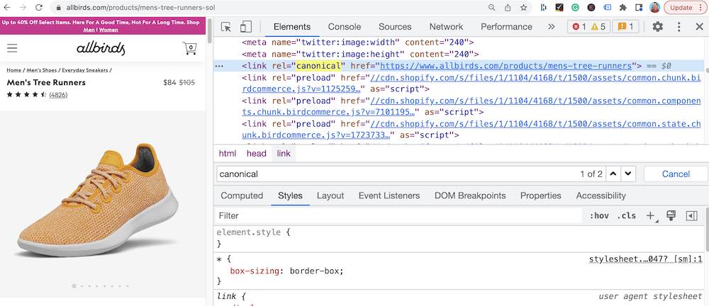 canonical tag example
