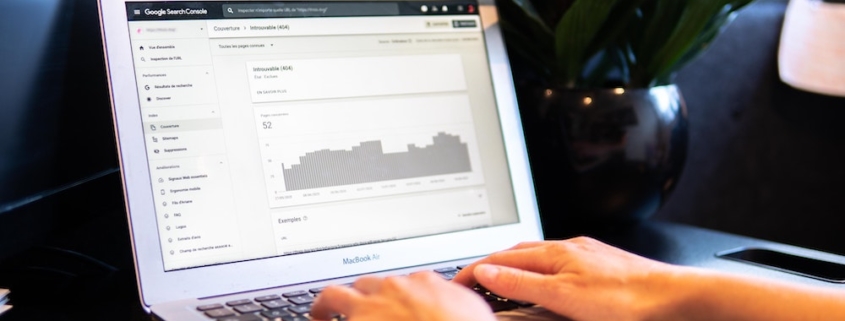 A person reviewing data on google search console