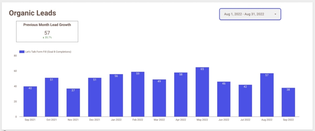 organic leads SEO report example