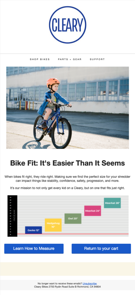 email campaign example