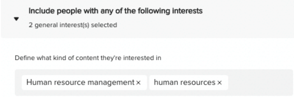 HR Targeting options on TiktTok
