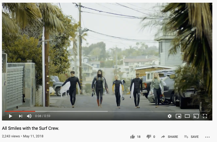 YouTube ad example from Sun Bum. 