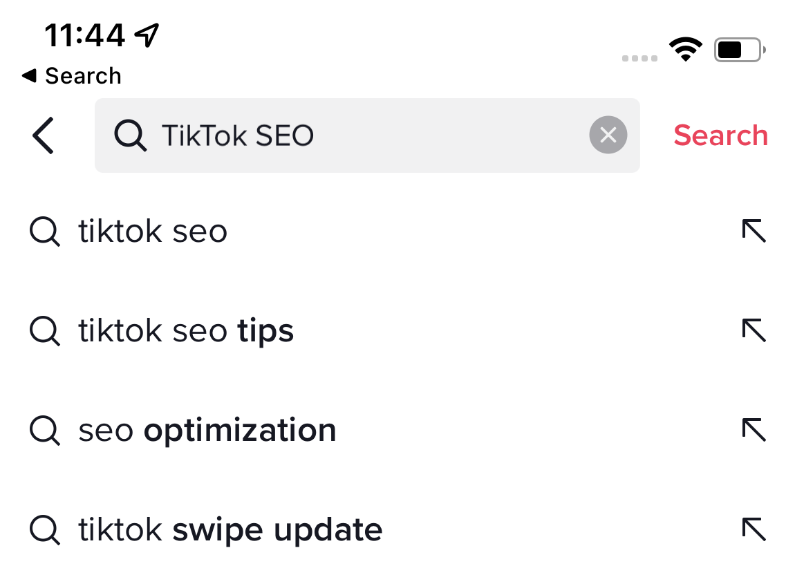 tiktok search