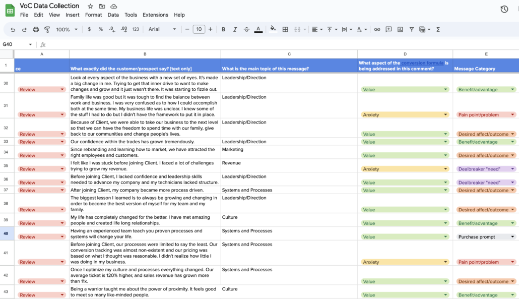 Voice of the Customer Data: Insights Collected during Audience Research Phase